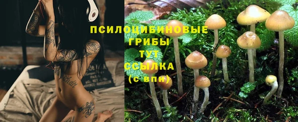 марихуана Куйбышев