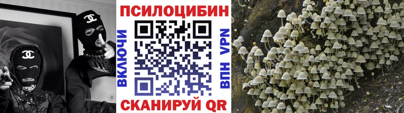 Галлюциногенные грибы MAGIC MUSHROOMS  Купить закладки  Кинель 
